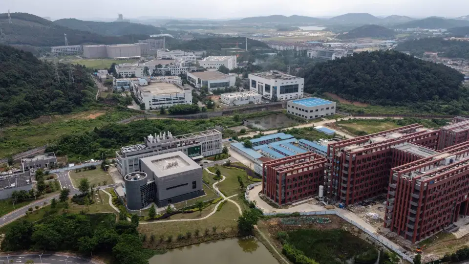 Allegations are growing as to whether the Covid-19 outbreak leaked from the Wuhan Institute of Virology