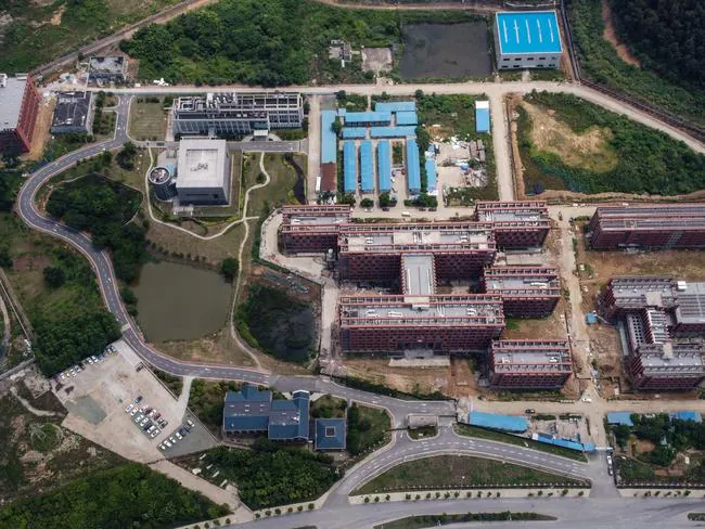 Laboratorium P4 (w środku po lewej) na terenie kampusu Instytutu Wirusologii Wuhan w Wuhan.  Zdjęcie: AFP