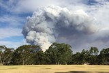 Bushfire at Cherry Gardens